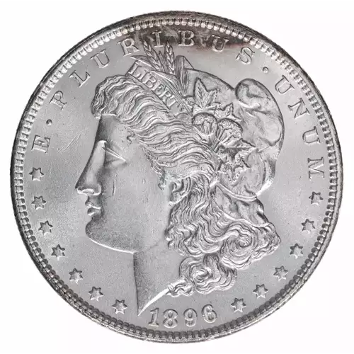 Morgan Silver Dollar (2)