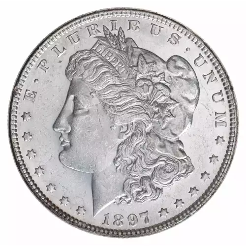 Morgan Silver Dollar (2)