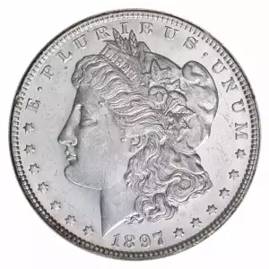 Morgan Silver Dollar (2)