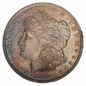 Morgan Silver Dollar