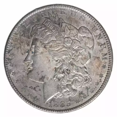 Morgan Silver Dollar