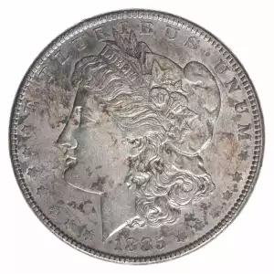 Morgan Silver Dollar