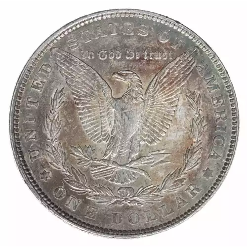 Morgan Silver Dollar (2)