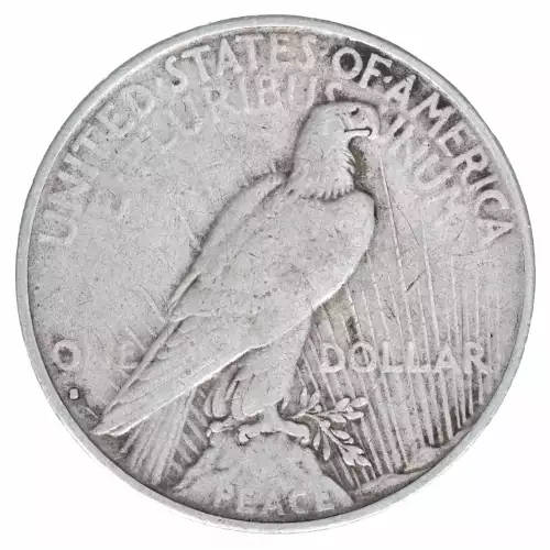 Morgan Silver Dollar (2)