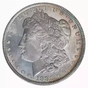 Morgan Silver Dollar