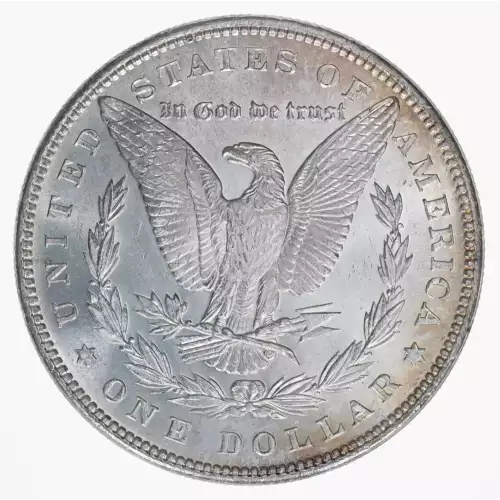 Morgan Silver Dollar (2)