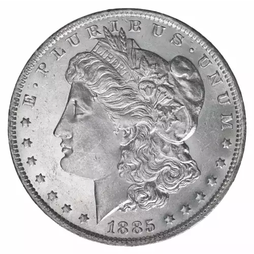 Morgan Silver Dollar (2)