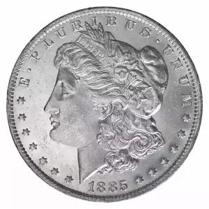 Morgan Silver Dollar (2)