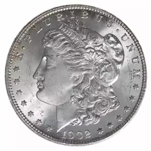 Morgan Silver Dollar