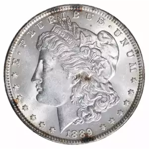 Morgan Silver Dollar (2)