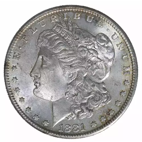 Morgan Silver Dollar (2)