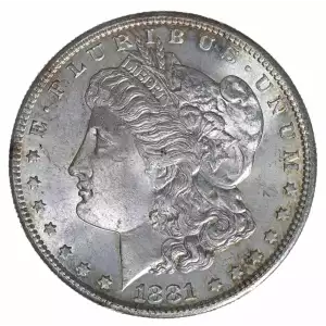 Morgan Silver Dollar (2)