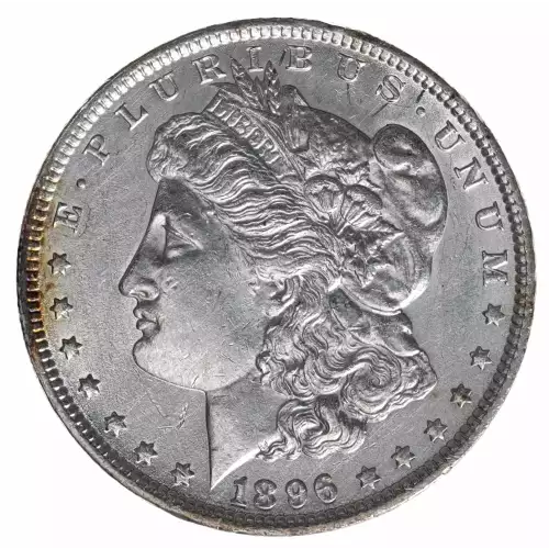 Morgan Silver Dollar (2)