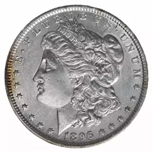 Morgan Silver Dollar (2)