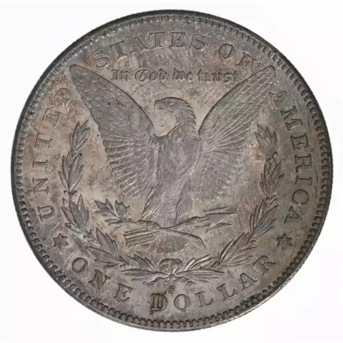 Morgan Silver Dollar (2)