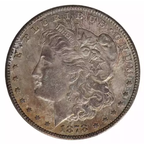 Morgan Silver Dollar