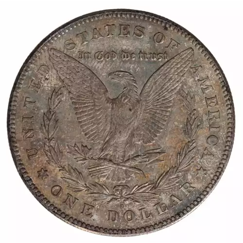 Morgan Silver Dollar (2)