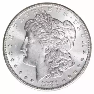 Morgan Silver Dollar (2)