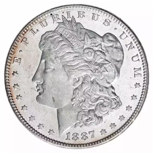 Morgan Silver Dollar (2)