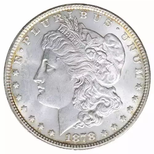 Morgan Silver Dollar (2)