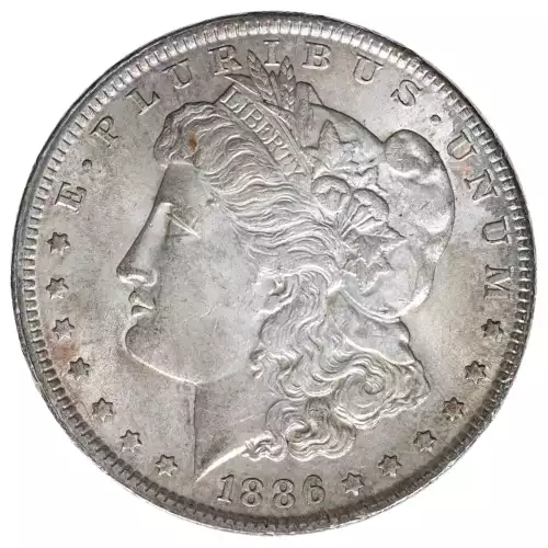 Morgan Silver Dollar