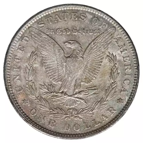 Morgan Silver Dollar (2)