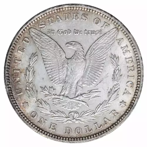 Morgan Silver Dollar (2)