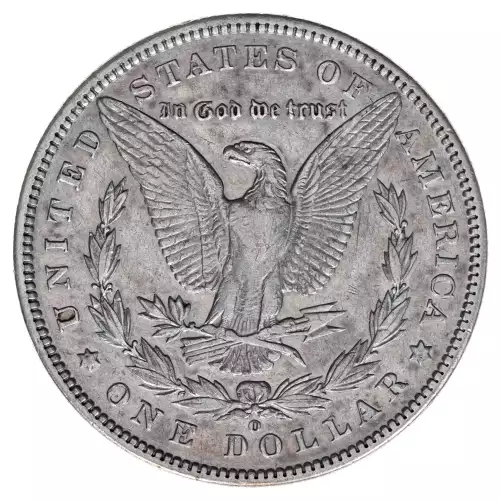 Morgan Silver Dollar (2)