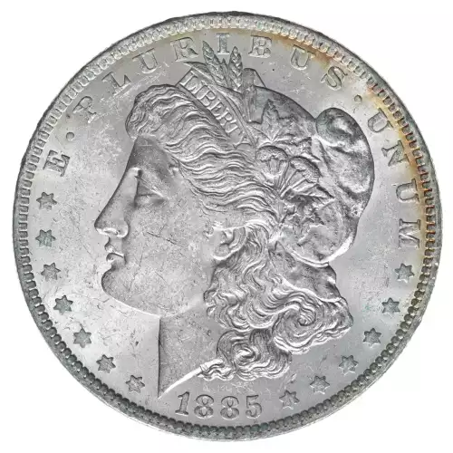 Morgan Silver Dollar (2)