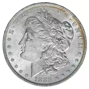 Morgan Silver Dollar (2)