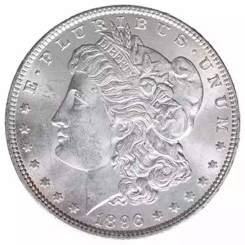 Morgan Silver Dollar (2)