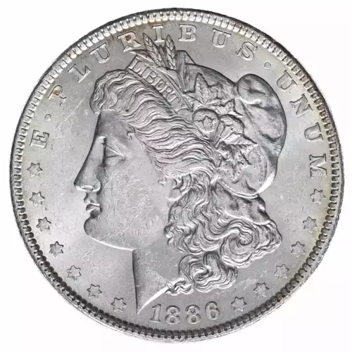 Morgan Silver Dollar (2)