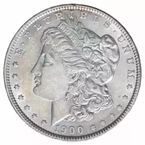 Morgan Silver Dollar (2)