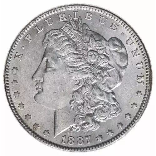 Morgan Silver Dollar