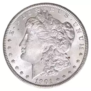 Morgan Silver Dollar