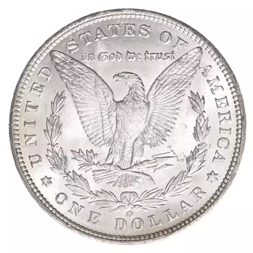 Morgan Silver Dollar (2)