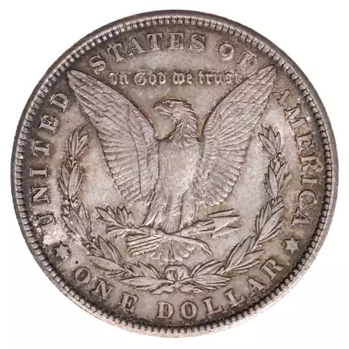 Morgan Silver Dollar (2)