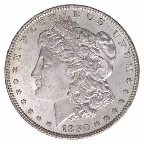 Morgan Silver Dollar (2)