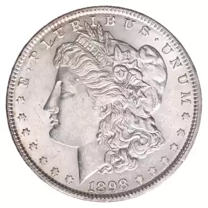 Morgan Silver Dollar