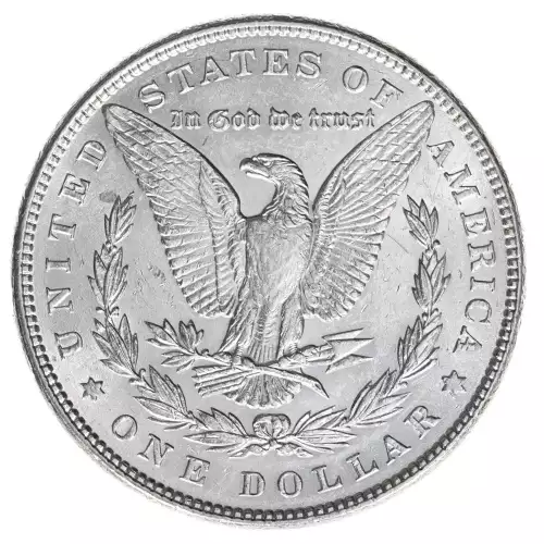 Morgan Silver Dollar (2)