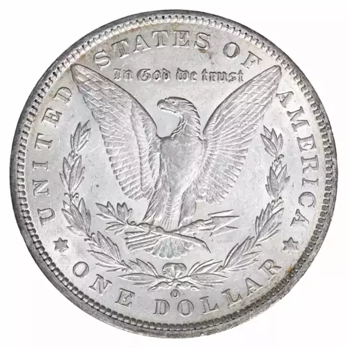 Morgan Silver Dollar (2)