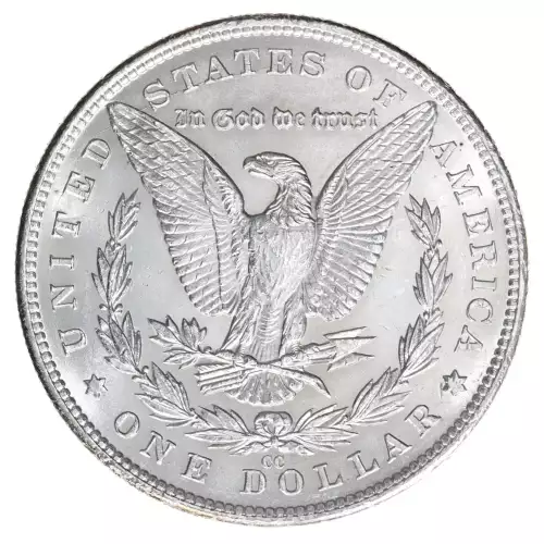 Morgan Silver Dollar (2)