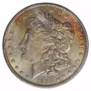 Morgan Silver Dollar