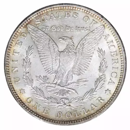 Morgan Silver Dollar (2)