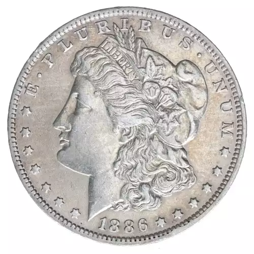 Morgan Silver Dollar