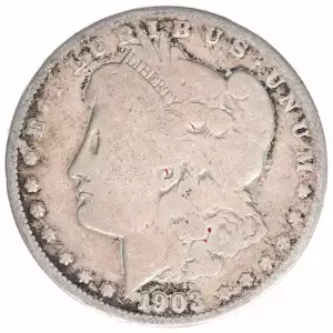 Morgan Silver Dollar