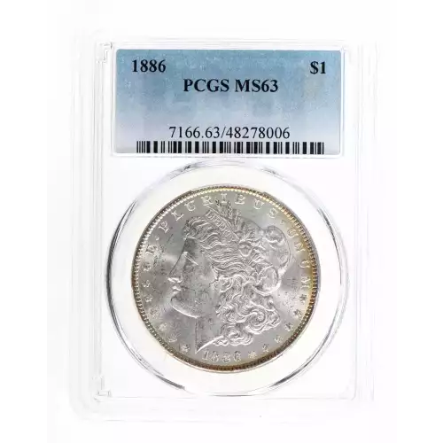 Morgan Silver Dollar (2)