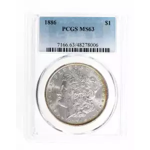 Morgan Silver Dollar (2)