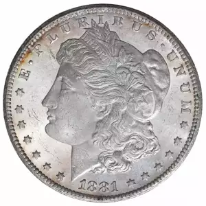 Morgan Silver Dollar (2)