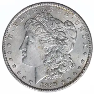 Morgan Silver Dollar (2)